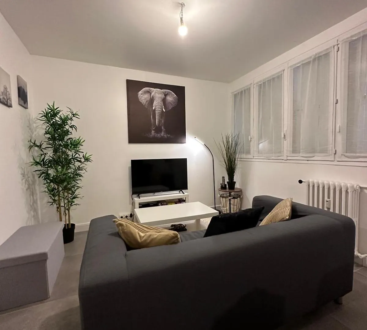 Apartment L'Elegant Centrale Saint-Etienne  France
