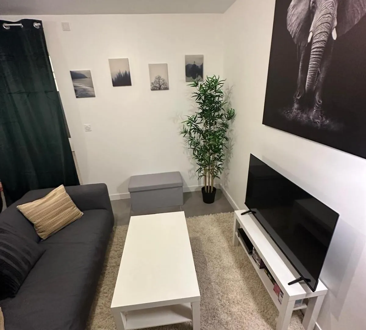 L'Elegant Centrale Saint-Etienne  Apartment